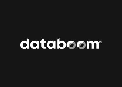 DATABOOM